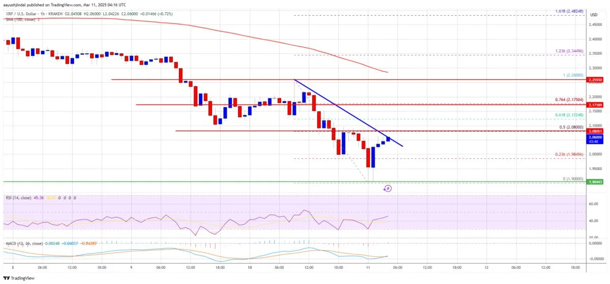 XRP Price Eyes Upside—Stronger Recovery Odds Compared to BTC