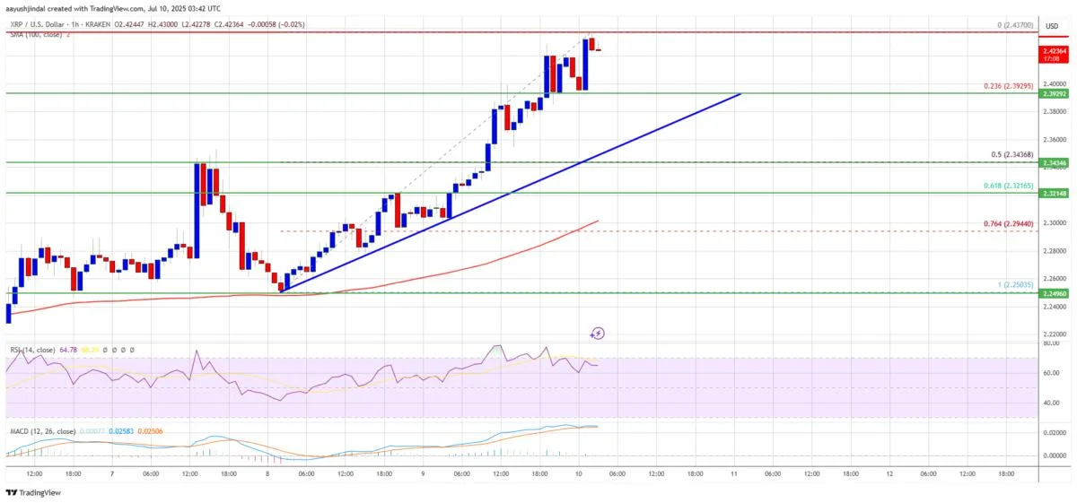 XRP Price Flashes Strength — Bulls Looking for Continuation