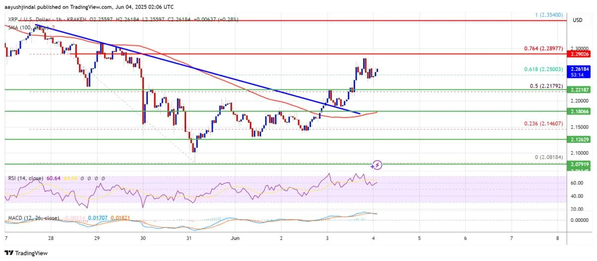 XRP Price Gains Pace — Bulls Eye Break Above Resistance