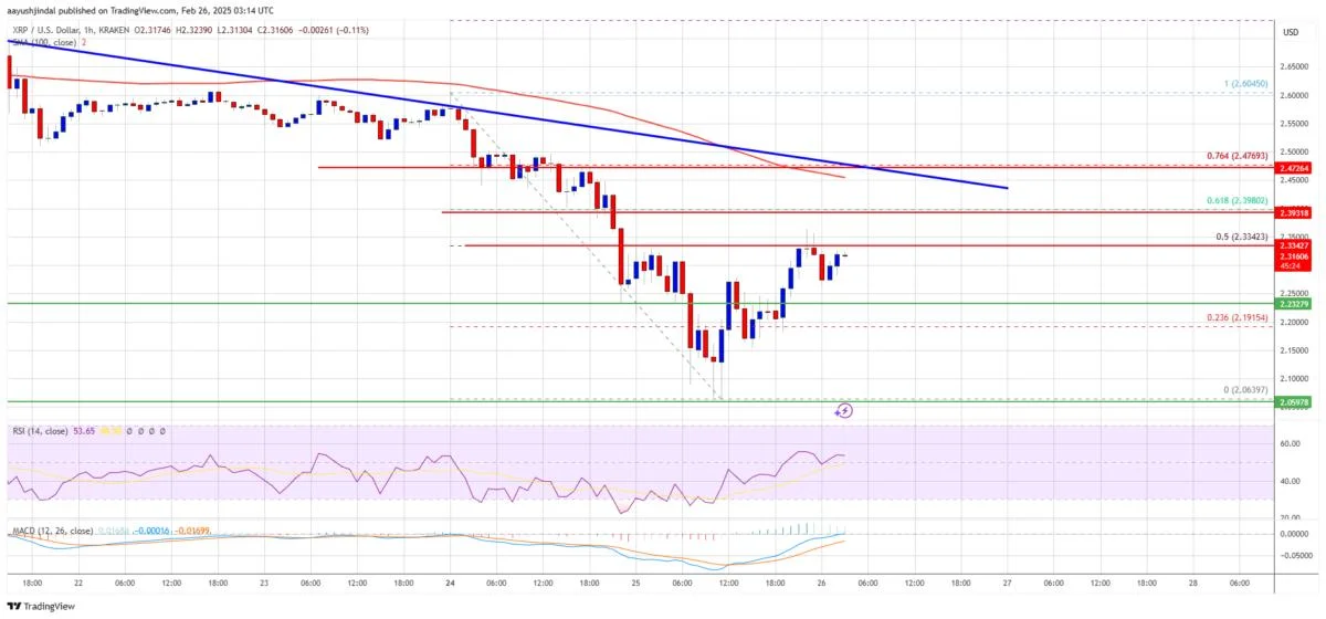 XRP Price Moves Higher—But Is This Just a Temporary Bounce?