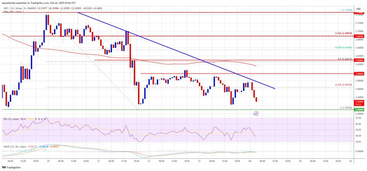 XRP Price Nears Key Support—A Breakdown Could Be Devastating