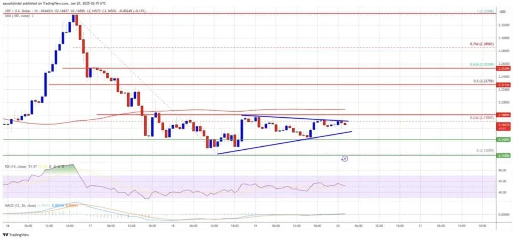 XRP Price Prediction 2025: Analyst Targets $10 as Whale Activity Spikes