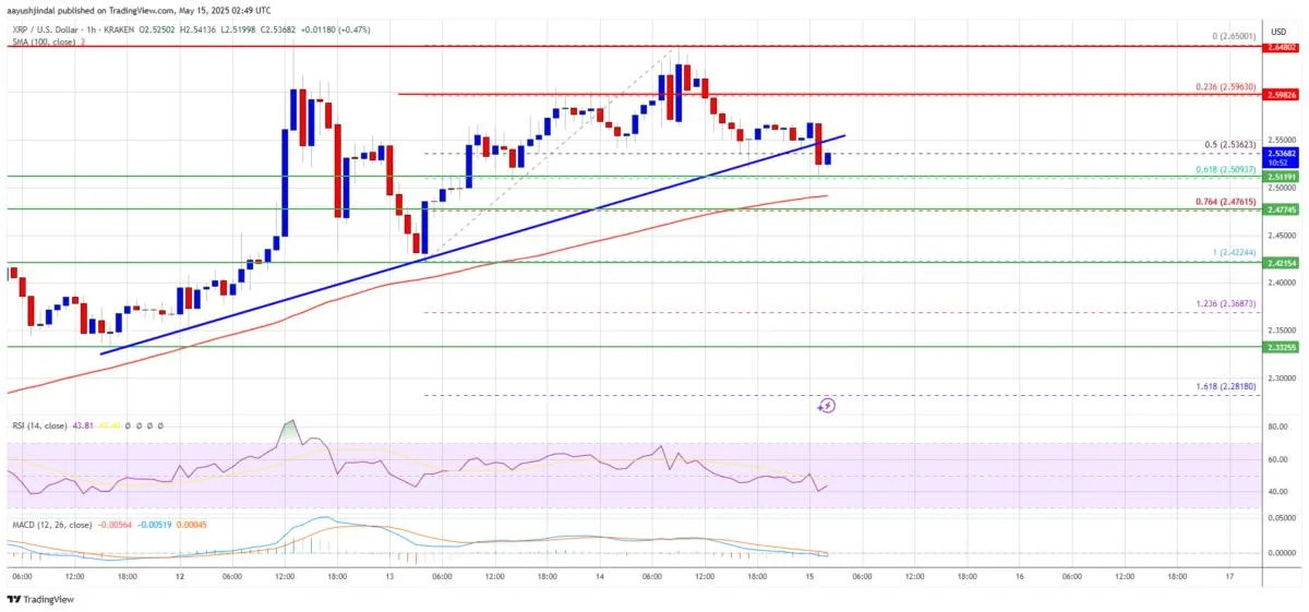 XRP Price Pulls Back but Holds Support — Bulls Still in the Game