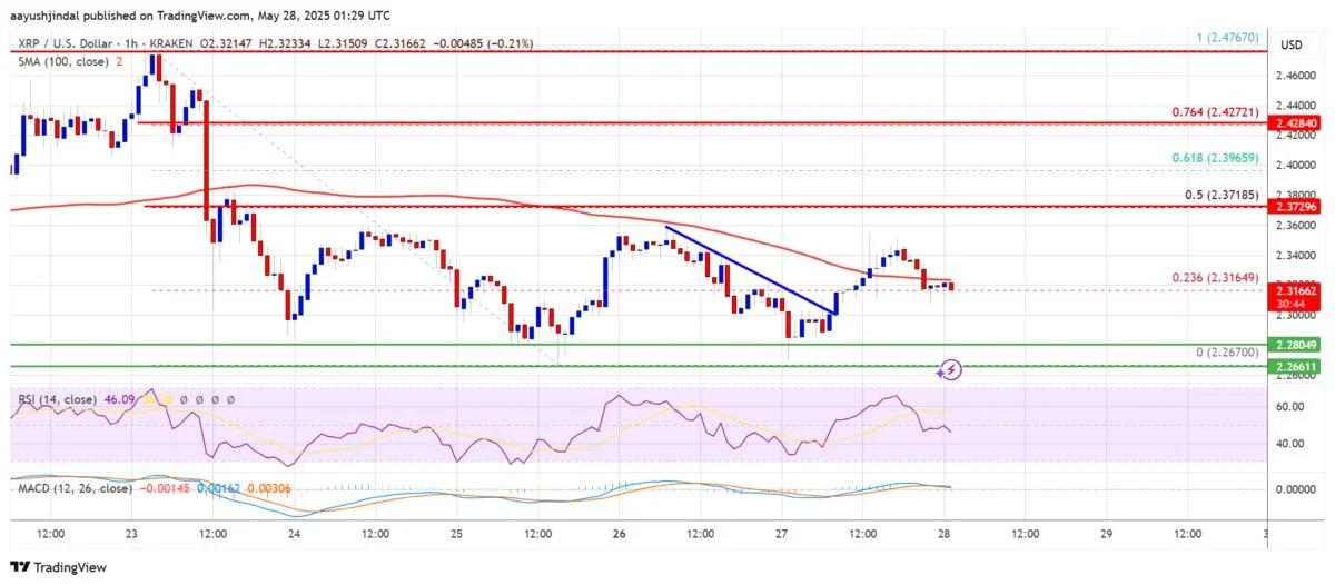XRP Price Struggles to Stay Afloat — Is a Breakdown Coming?