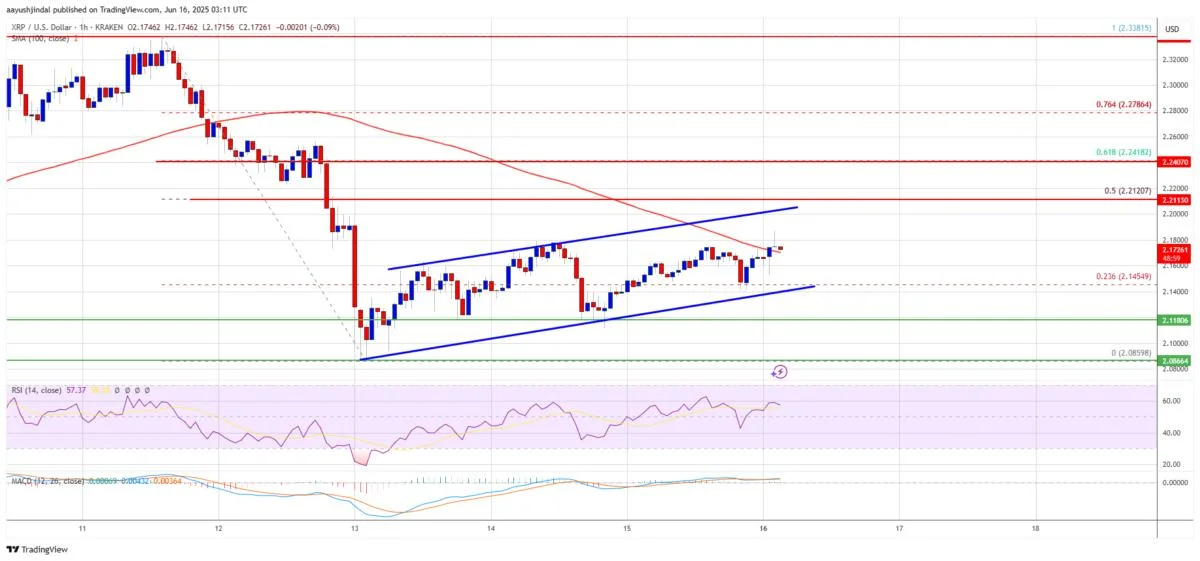 XRP Price Tries to Bounce Back—But Hurdles May Delay the Comeback