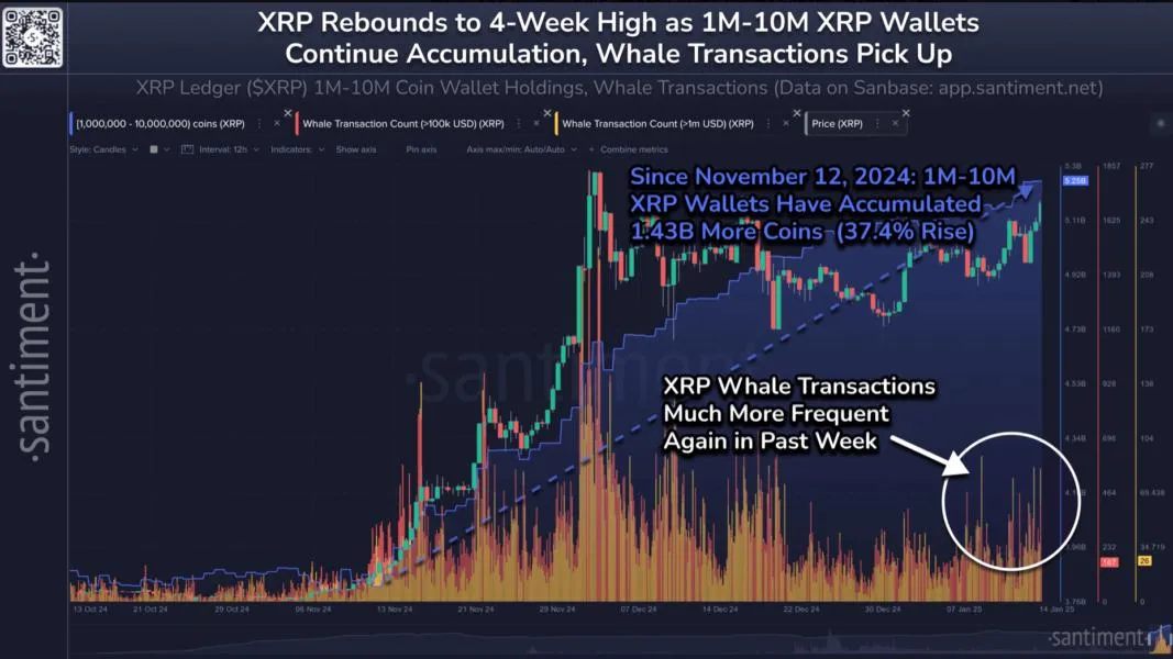 XRP spikes 12% as whales continue 'enormous accumulation' — Santiment